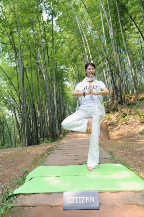 一比一仿查姆斯福特学院文凭毕业证